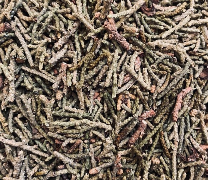 Juniper Leaf