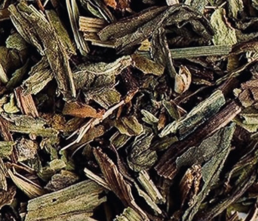 Broad Leaf Plantain