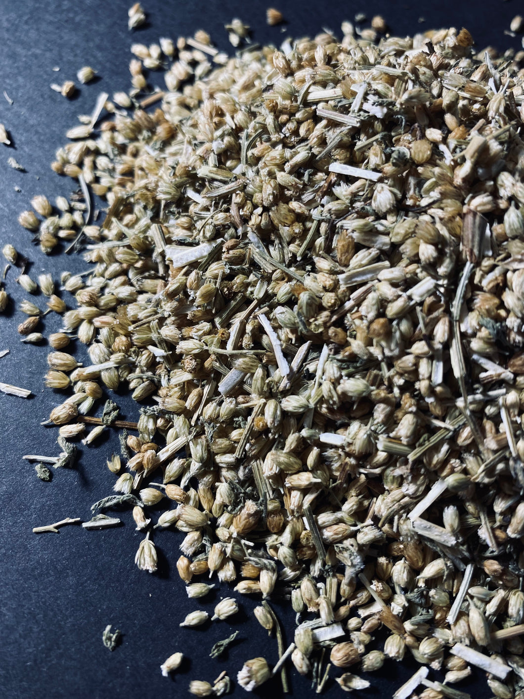 yarrow flower seeds Yarrow Flower – Sweetgrass Soapery