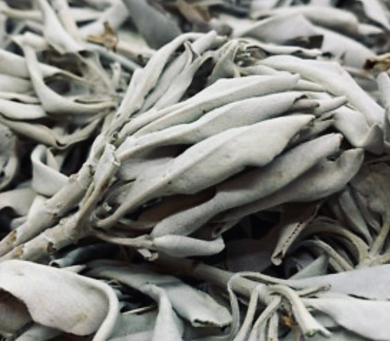 CA White Sage - Loose Leaf 1 oz.