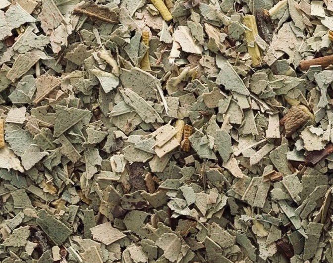 Eucalyptus Leaf 1 oz