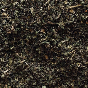 Stinging Nettle Leaf