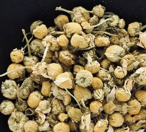 German Chamomile