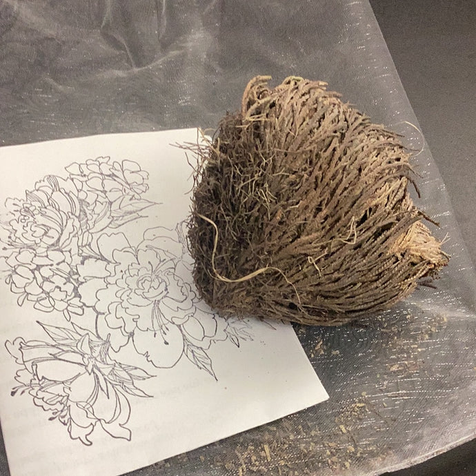 Jericho Flower
