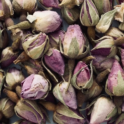 Pink Rose Buds & Petals