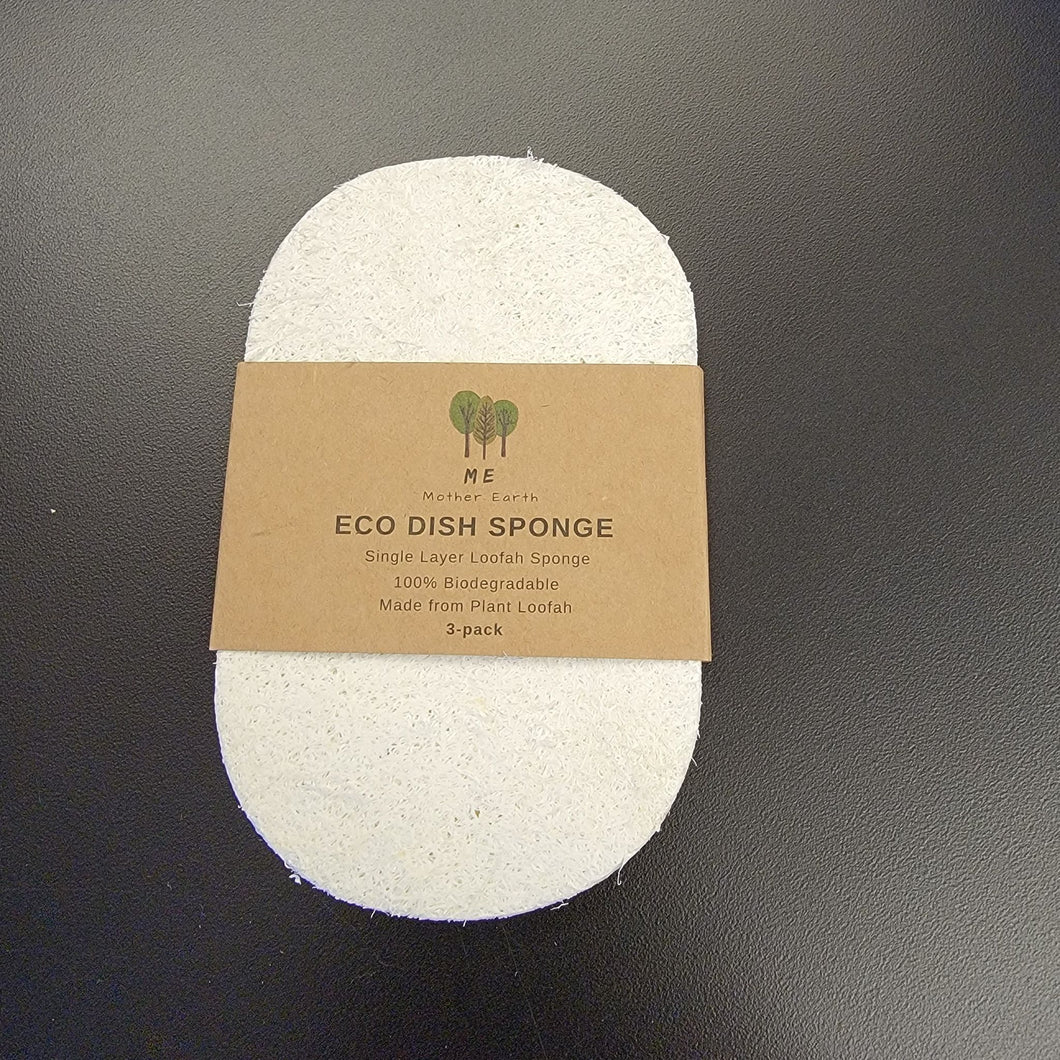 Eco Dish Sponge