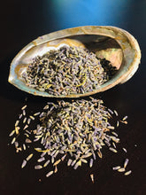 Load image into Gallery viewer, Blue French Lavender
