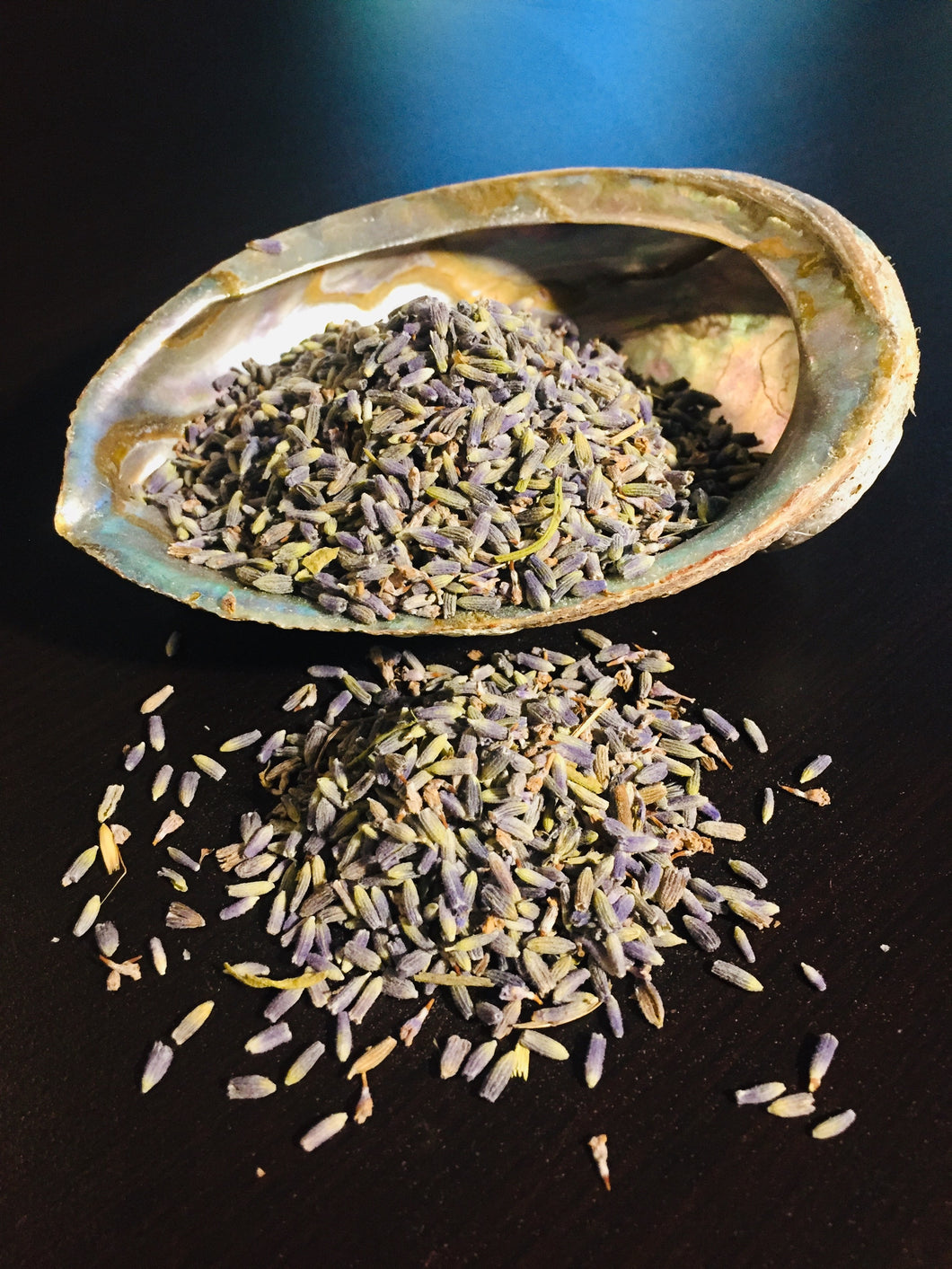 Blue French Lavender