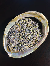Load image into Gallery viewer, Blue French Lavender