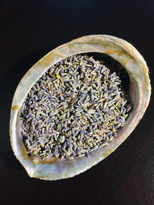 Blue French Lavender